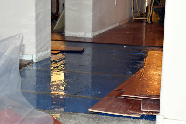 Professional Basement Flood Cleanup technician working in West Hills, PA